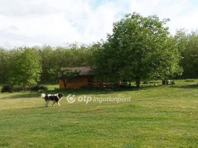 Eladó telek Nyíregyháza 15000 nm