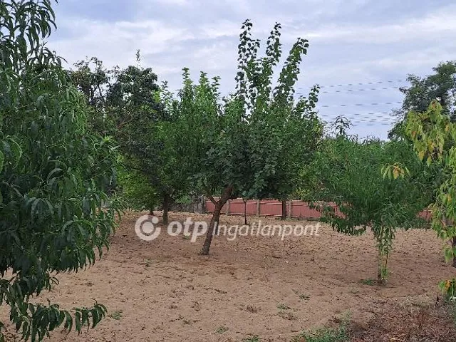 Eladó telek Téglás 756 nm