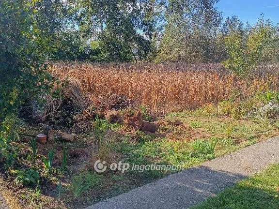 Eladó telek Baktalórántháza 7115 nm