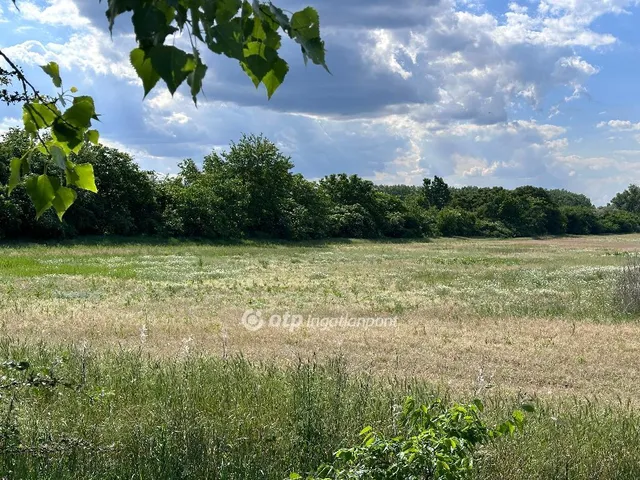 Eladó kereskedelmi és ipari ingatlan Pilis 52500 nm