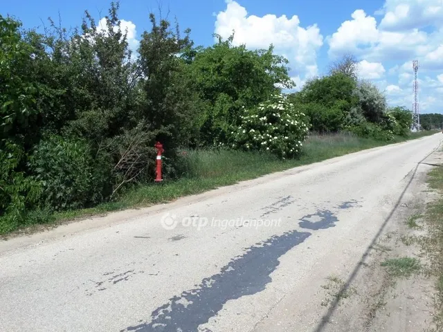 Eladó kereskedelmi és ipari ingatlan Pilis 52500 nm