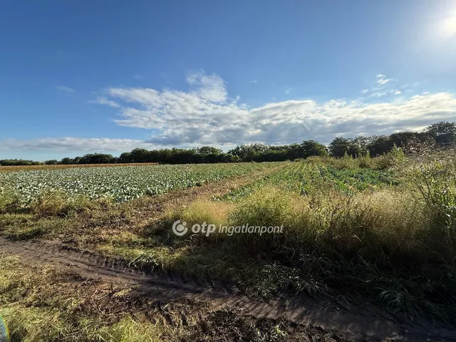Eladó kereskedelmi és ipari ingatlan Újfehértó 13705 nm
