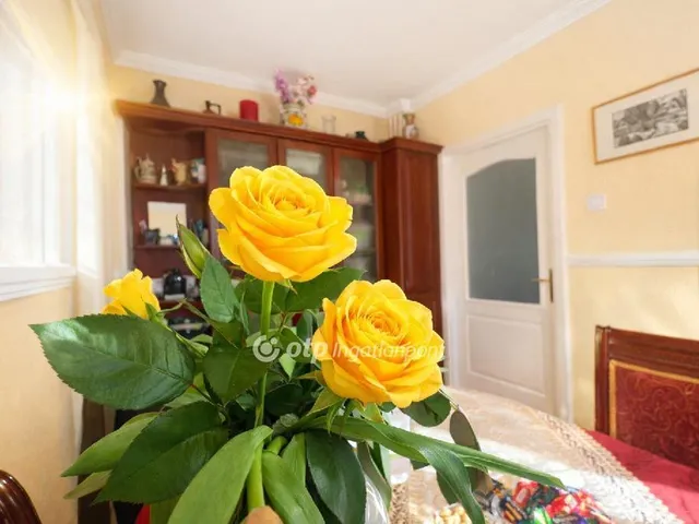 Eladó lakás Debrecen 63 nm