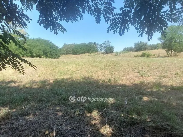 Eladó mezőgazdasági ingatlan Nyíregyháza 85 nm
