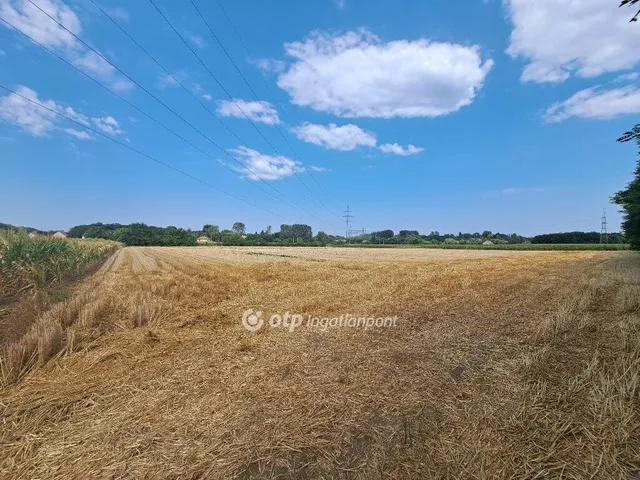 Eladó telek Nyíregyháza 6893 nm
