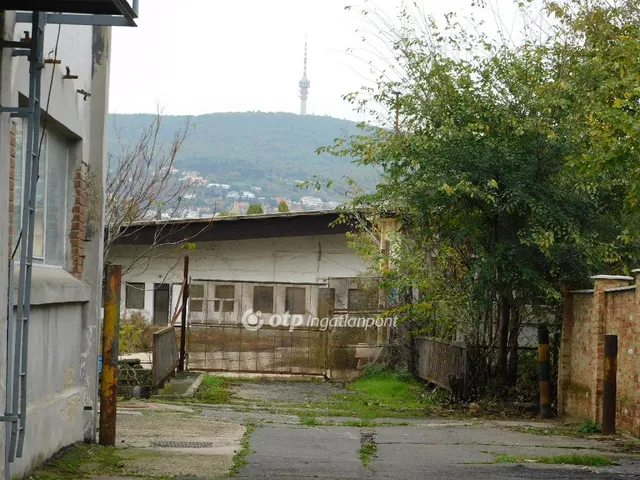 Kiadó kereskedelmi és ipari ingatlan Pécs 1000 nm
