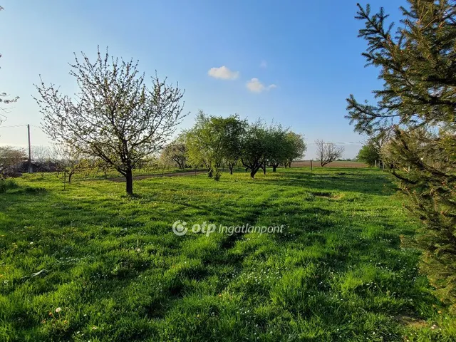 Eladó ház Szigetvár 150 nm