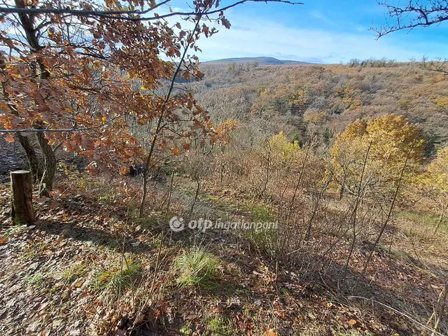 Eladó telek Pécs 2448 nm