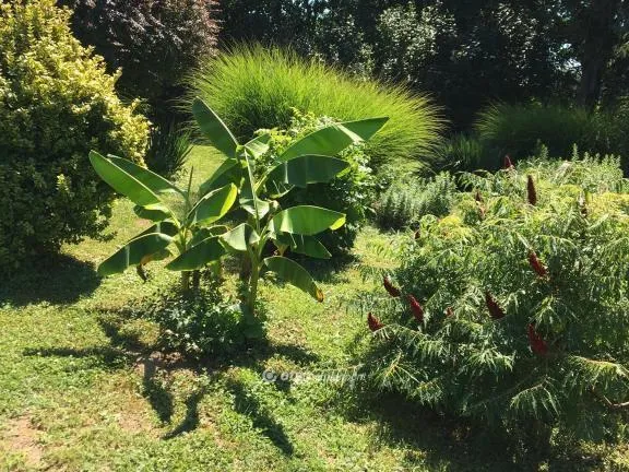 Eladó üdülő és hétvégi ház Harkány 176 nm