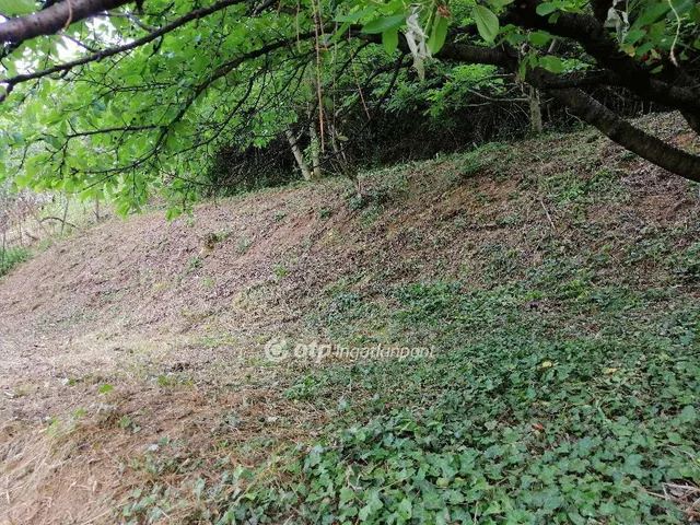 Eladó ház Pécs 90 nm