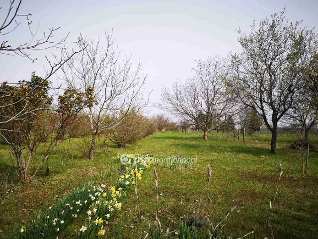 Eladó telek Hosszúhetény 8515 nm