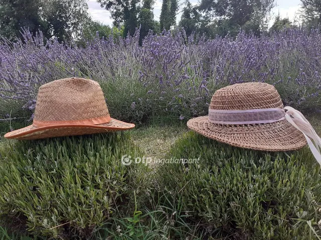 Eladó telek Kecel 144 nm