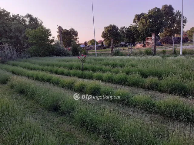 Eladó telek Kecel 144 nm