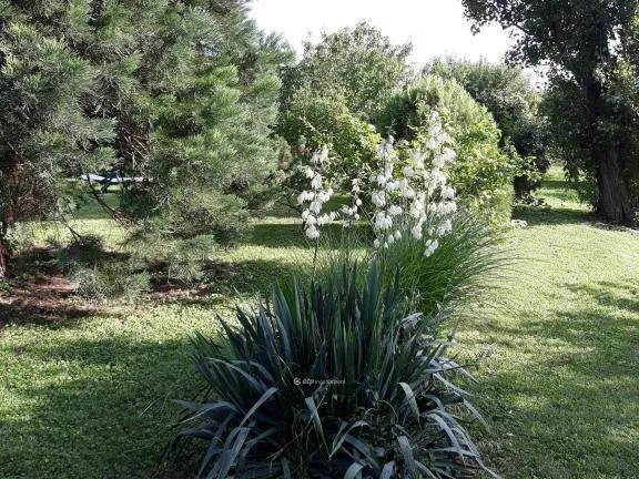 Eladó ház Pogány 250 nm