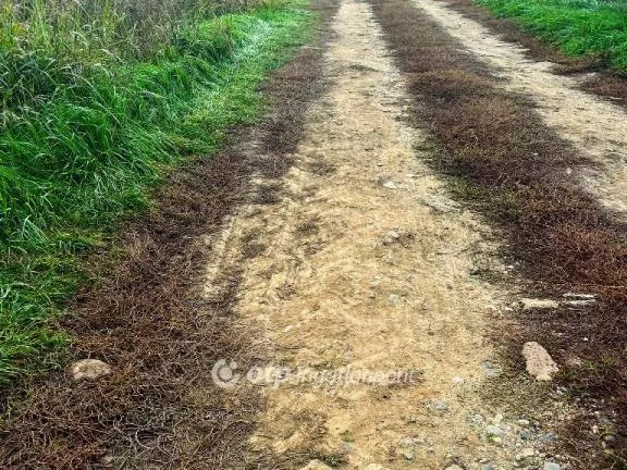 Eladó telek Pécs 2550 nm