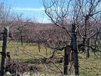 Eladó telek Aranyosgadány 1654 nm