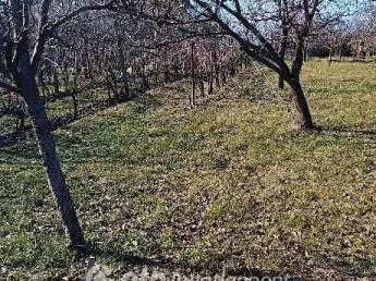 Eladó telek Aranyosgadány 1654 nm