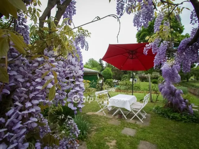 Eladó ház Harkány 180 nm