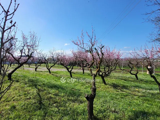 Eladó telek Siófok 2453 nm