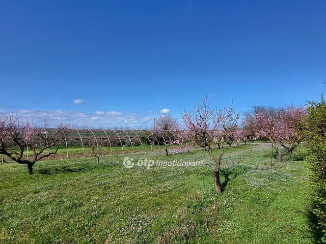 Eladó telek Siófok 2453 nm