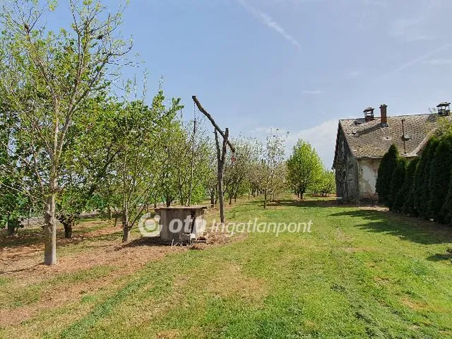 Eladó mezőgazdasági ingatlan Kisszőlős 28187 nm