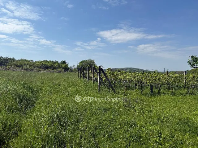Eladó telek Túrony 3456 nm