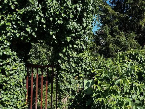 Eladó ház Pécs 250 nm