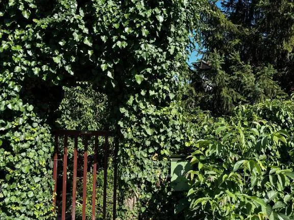 Eladó ház Pécs 250 nm