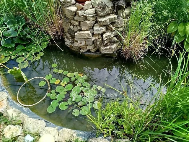 Eladó ház Pécs 143 nm