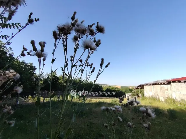 Eladó ház Véménd 150 nm