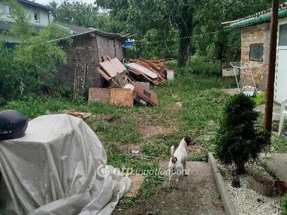 Eladó ház Pécs 29 nm