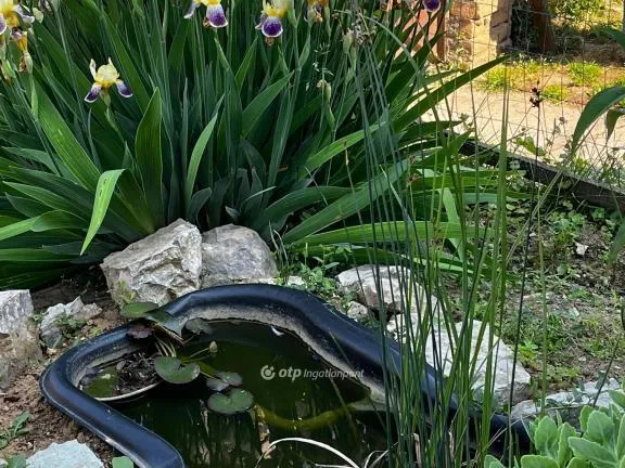 Eladó ház Monyoród 117 nm