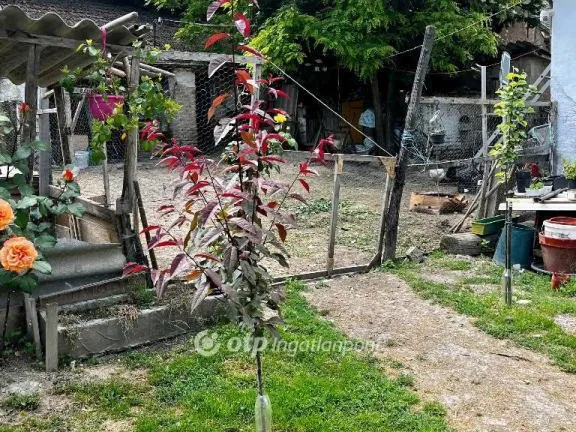 Eladó ház Monyoród 117 nm