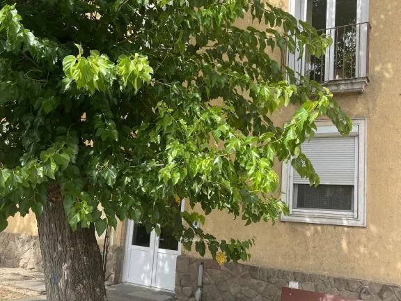 Eladó lakás Komló 56 nm