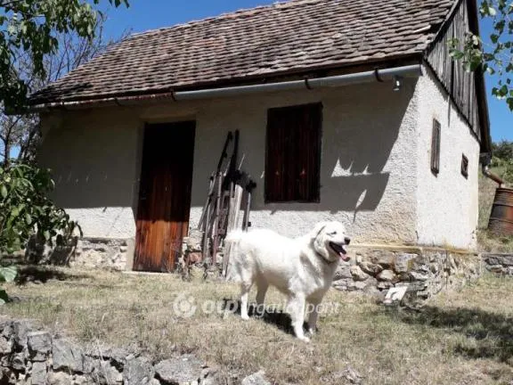 Eladó telek Gyód 1664 nm