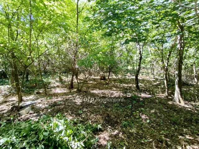 Eladó ház Magyarbóly 53 nm