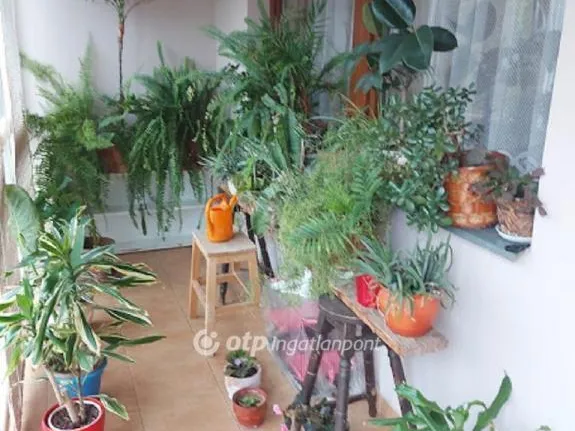 Eladó ház Szigetvár 160 nm