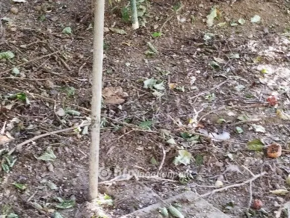 Eladó telek Lippó 4518 nm