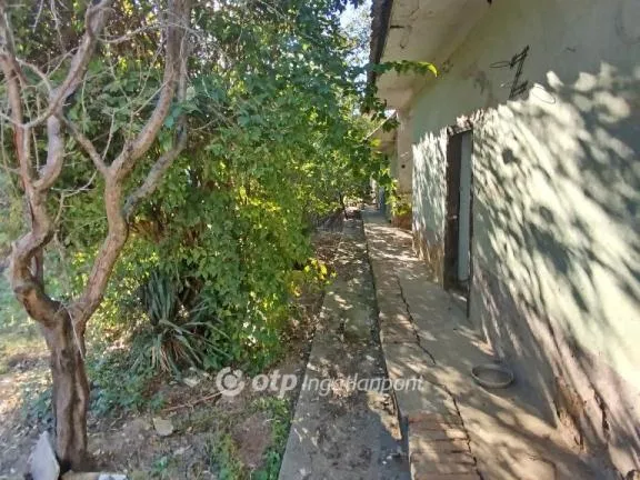 Eladó telek Lippó 4518 nm