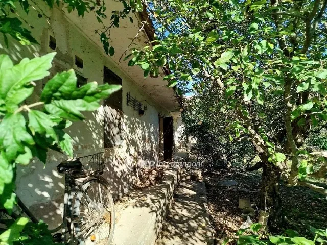 Eladó ház Lippó 60 nm