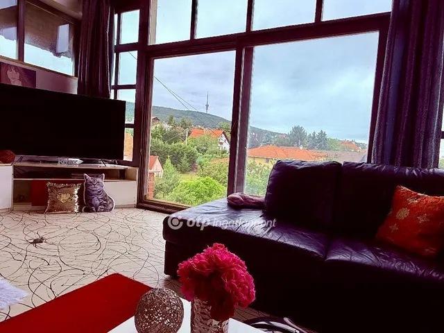 Eladó ház Pécs, Donátus 310 nm