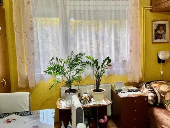 Eladó lakás Pécs, Uránváros 50 nm