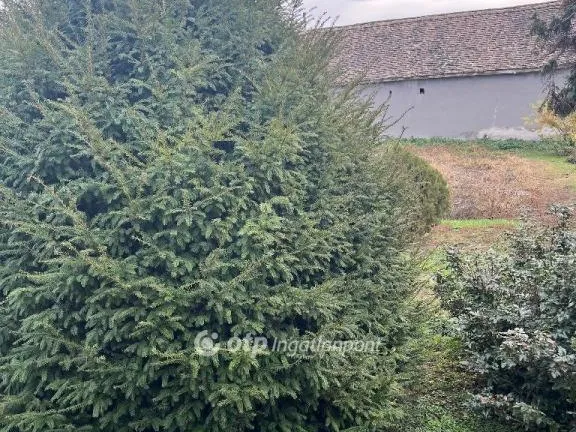 Eladó ház Versend 125 nm