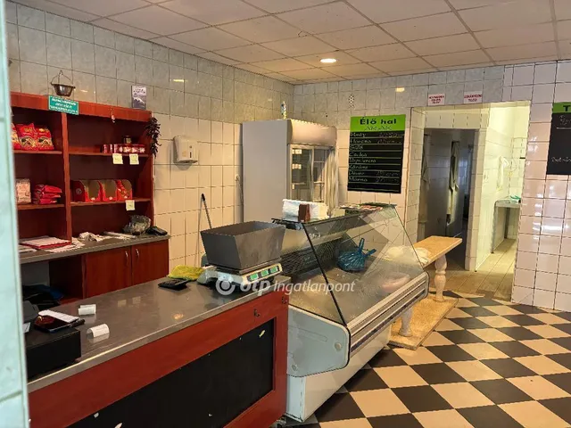 Eladó kereskedelmi és ipari ingatlan Mohács 209 nm
