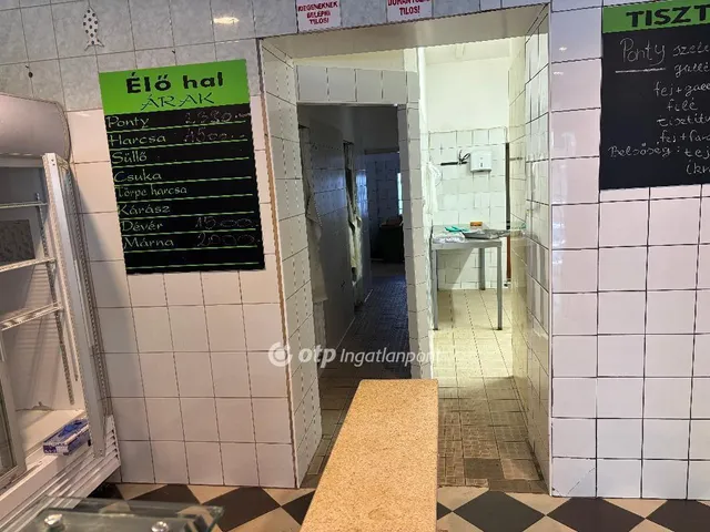 Eladó kereskedelmi és ipari ingatlan Mohács 209 nm