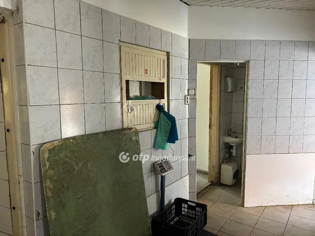 Eladó kereskedelmi és ipari ingatlan Mohács 209 nm