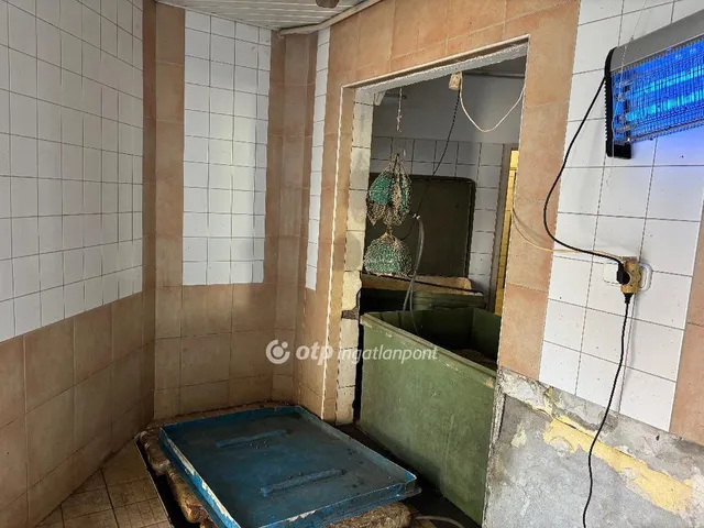 Eladó kereskedelmi és ipari ingatlan Mohács 209 nm