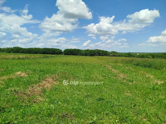 Eladó telek Szalánta 1513 nm