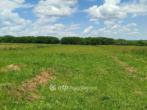 Eladó telek Szalánta 1513 nm