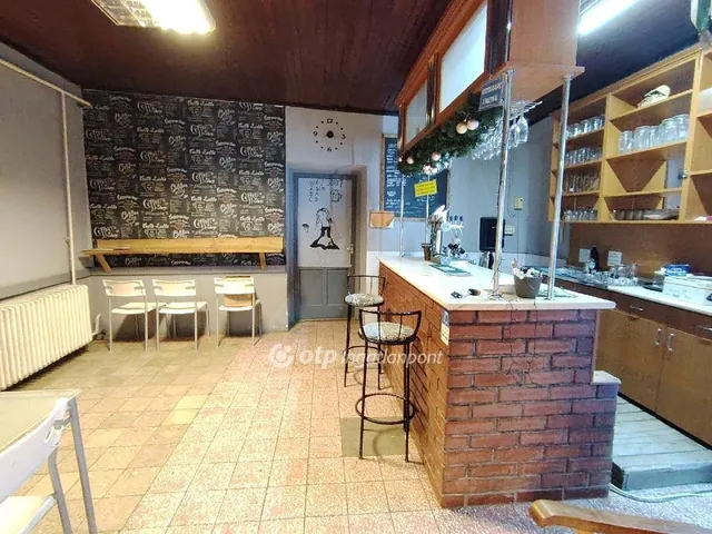 Eladó kereskedelmi és ipari ingatlan Szőkéd 160 nm